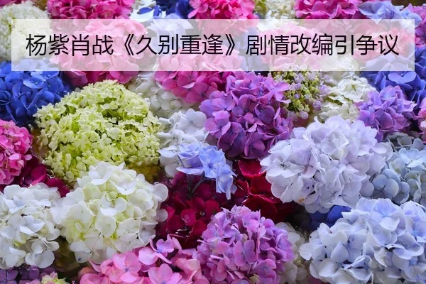 杨紫肖战《久别重逢》剧情改编引争议
